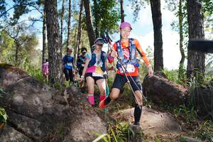 BIB: 
                            <button type="button" onclick="openModal(18916672)" class="btn btn-primary btn-sm float-right btn-popup" data-toggle="modal" data-target=".modal-high-quality">
                        <i class="fas fa-shopping-cart"></i> Add to Cart
                    </button>
                                            <button type="button" onclick="isThisMe(18916672, true)" class="btn btn-success btn-sm float-right btn-popup btn-isme hidden" data-toggle="tooltip" data-placement="bottom" title="นี่คือรูปของคุณใช่ไหม คลิกที่นี่เพื่อเอาเข้าอัลบั้ม">
                        <i class="fas fa-plus"></i> Add to album
                    </button>
                    <button type="button" onclick="isThisMe(18916672, false)" class="btn btn-warning btn-sm float-right btn-popup btn-isnotme hidden">
                        <i class="fas fa-ban"></i> Remove from album
                    </button>